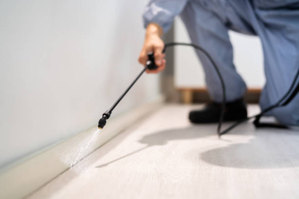 Bed Bug Pre-Treatment Preparation Assessment in Cedar Park