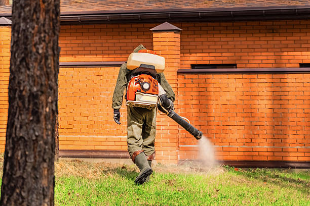 Bed Bug Clearance Verification and Documentation in Cedar Park